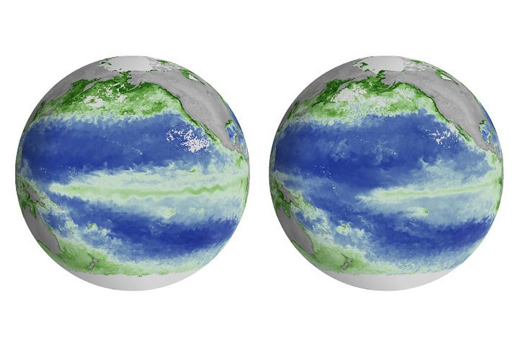 El Niño Alters Marine Life in the Pacific